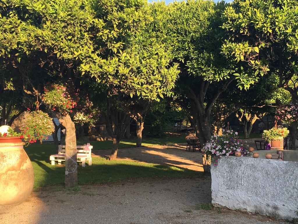 La Purissima Bed and Breakfast Αλγκέρο Εξωτερικό φωτογραφία