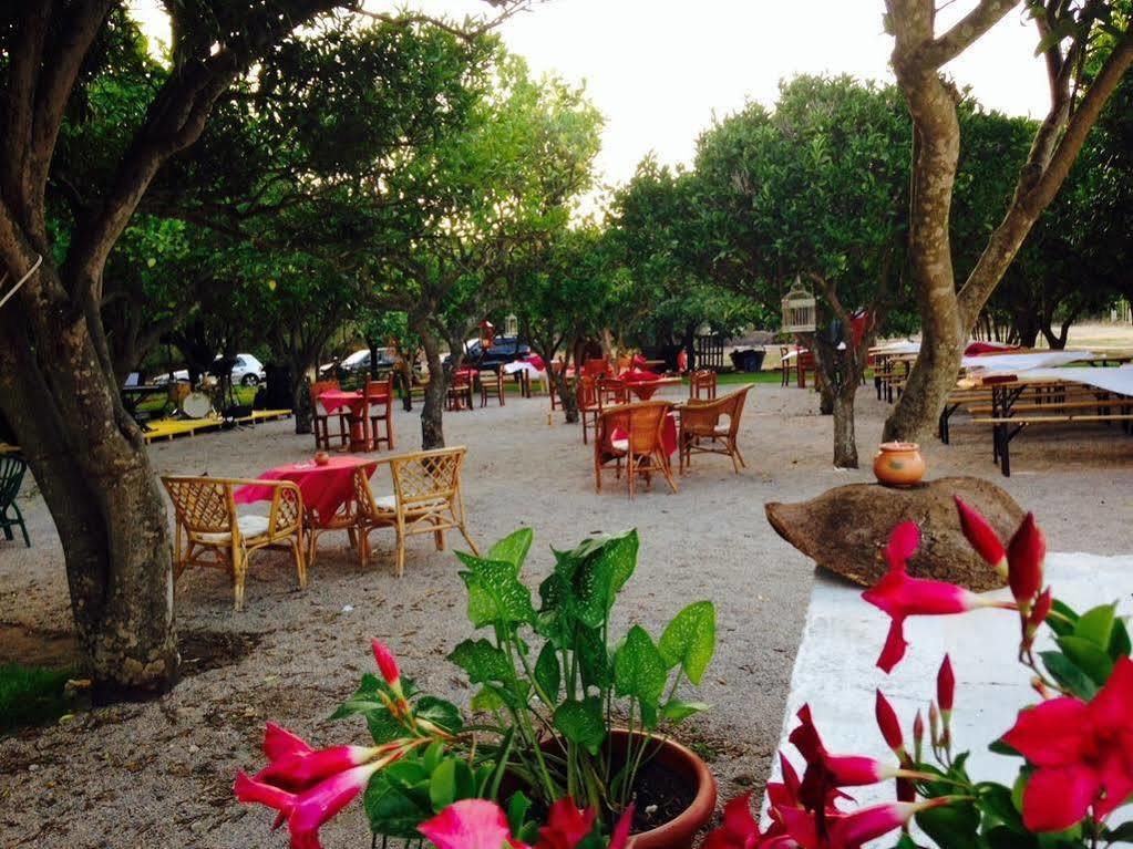 La Purissima Bed and Breakfast Αλγκέρο Εξωτερικό φωτογραφία
